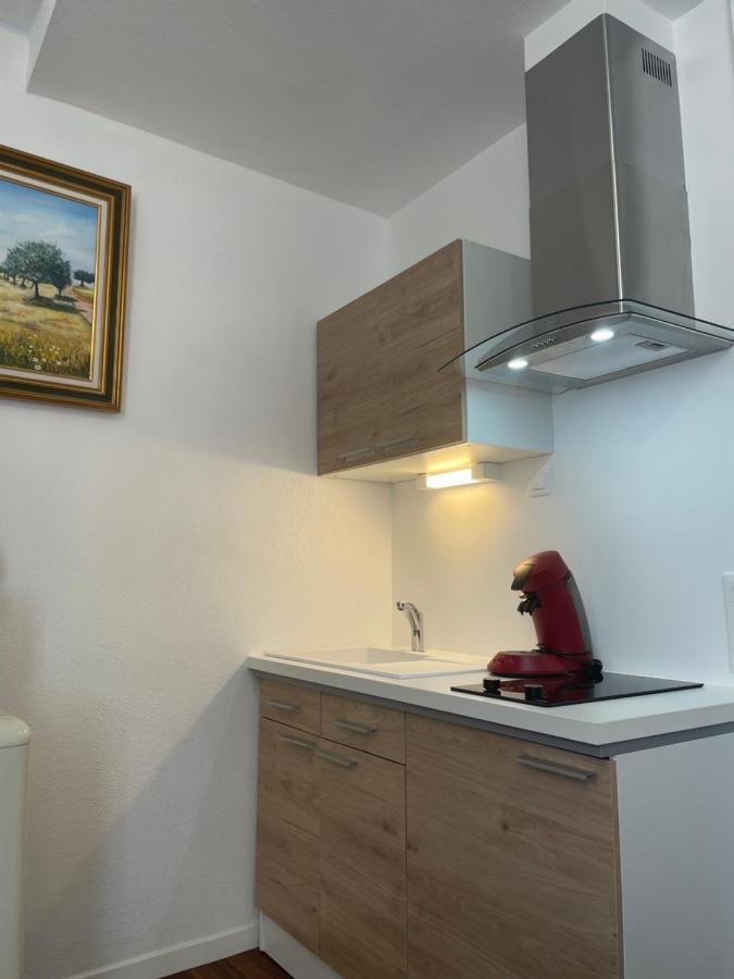 Maison Du Cloitre Couvent Des Carmes 나르본 외부 사진